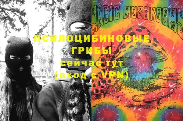 мдма Бородино