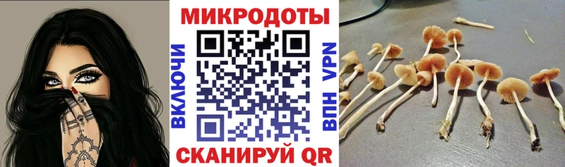 даркнет состав  Павловская  Псилоцибиновые грибы ЛСД  цены  