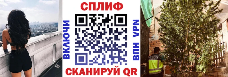 продажа наркотиков  Павловская  Каннабис ГИДРОПОН 